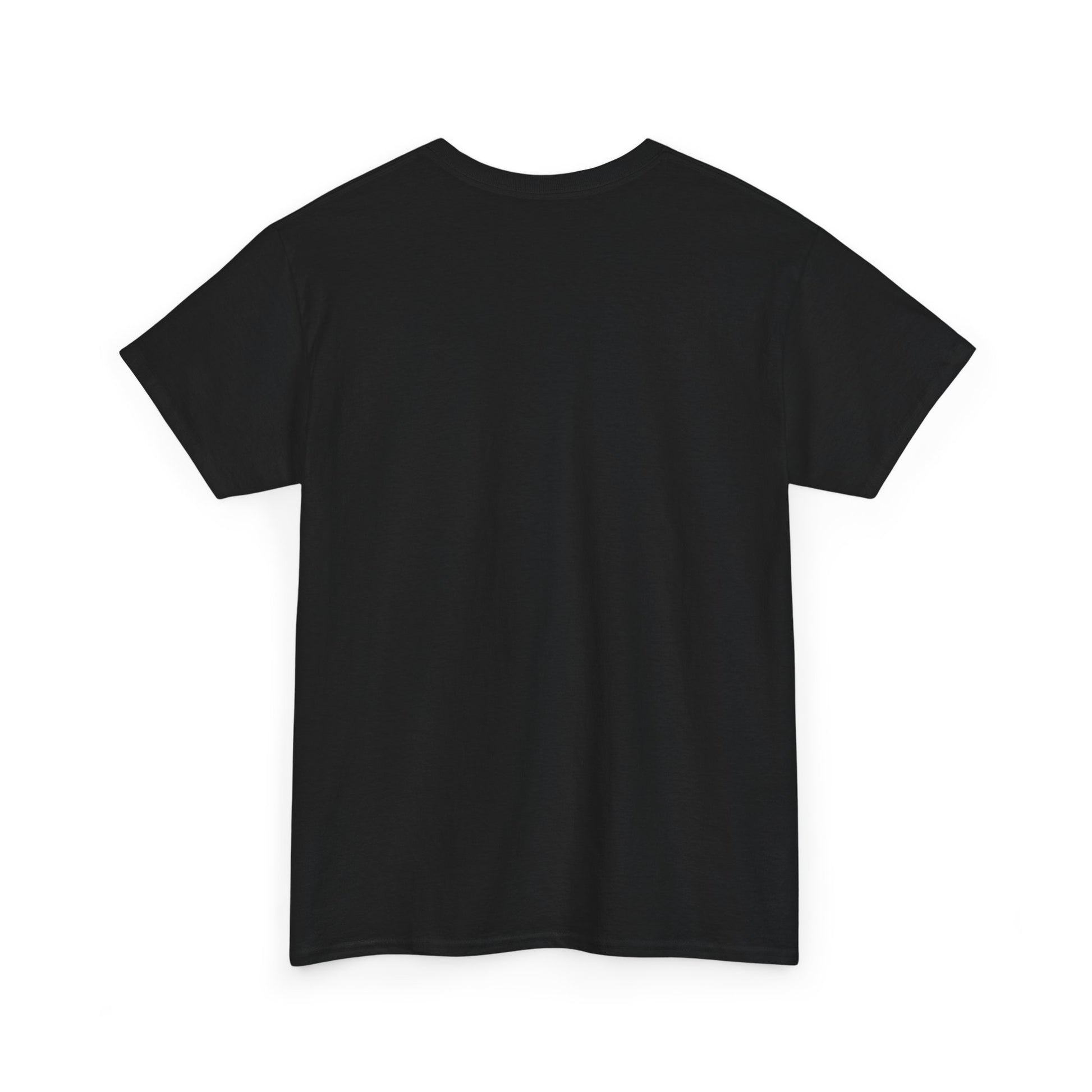 Epic Fantasy Battle Unisex Heavy Cotton Tee, Casual Wear, Gamer Gift, Graphic T-Shirt, Fantasy Art Tee, Unique Apparel